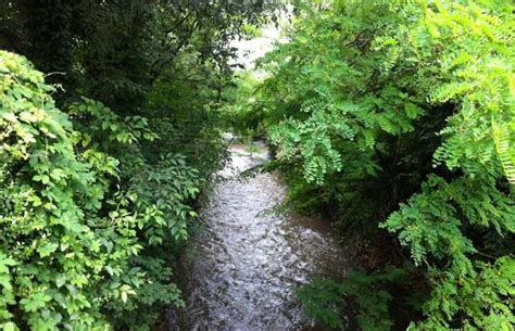 Saronno in Saronno: 2 reviews and 1 photos