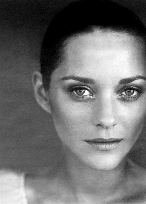 Marion Cotillard Marion Cotillard Portrait Marion Cottillard