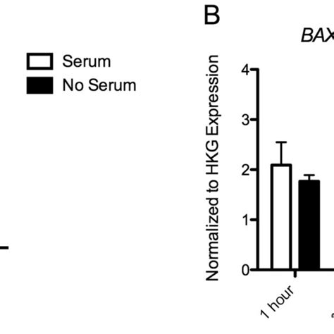 Results Of Gene Expression Analysis Of A Bcl2 Mrna And B Bax Mrna