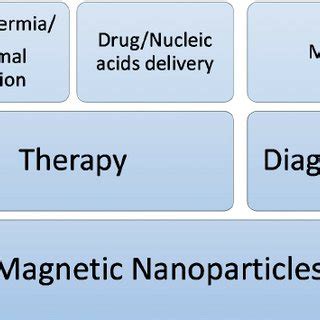 Biomedical applications of magnetic nanoparticles that rely on their ...