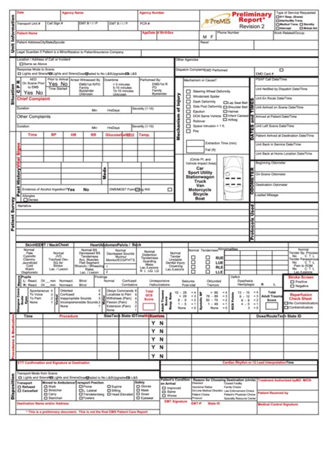 Preliminary Report Printable Pdf Download