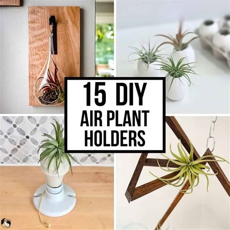 15 Creative DIY Air Plant Holder Ideas The Handyman S Daughter