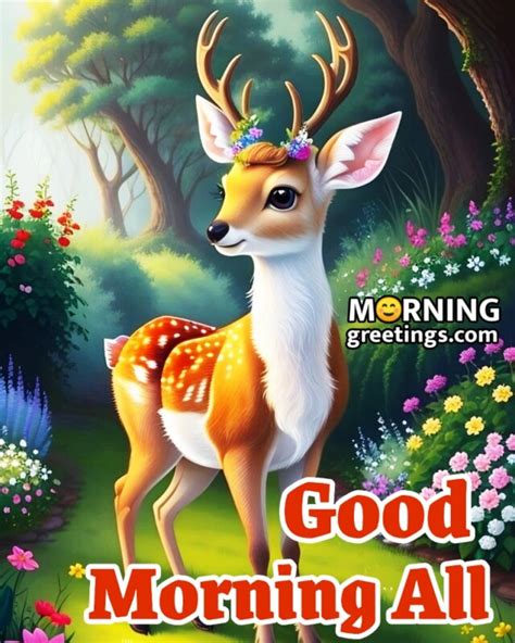 Good Morning Deer Images To Brighten Your Day Morning Greetings