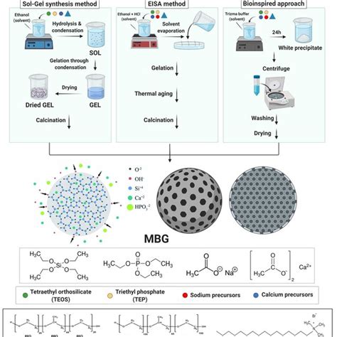 An Overview Of Mesoporous Bioactive Glass Mbg Properties And Their Download Scientific