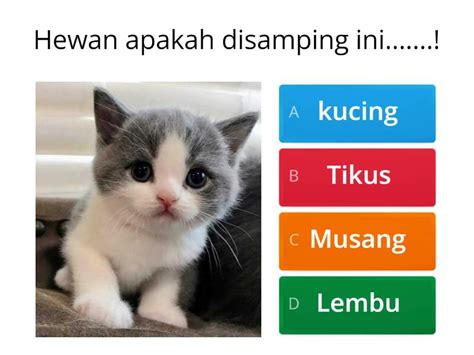 Pilihlah Salah Satu Jawaban Yang Benar Dibawah Ini Quiz