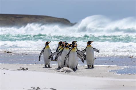 Crowd Results Birds In The Landscape Bird Photo Contest