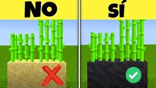 Romp Todas Las Normas De Minecraft En Horas Doovi