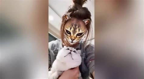 El Filtro Que Convierte Tu Cara En La De Un Gato Arrasa En Las Redes