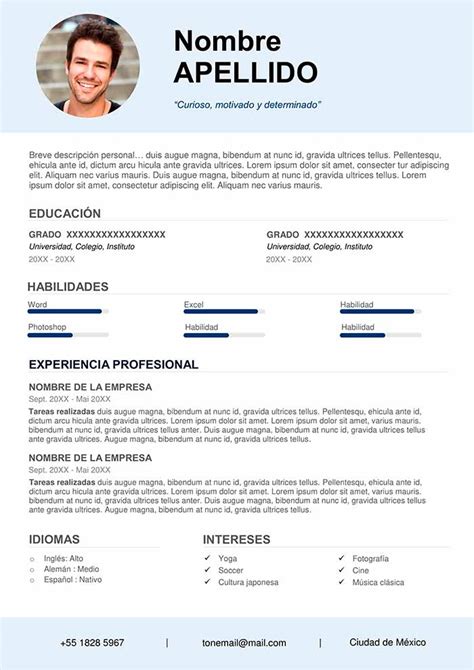 Ejemplos De Curriculum Vitae Por Profesiones Onlinecv Es Riset