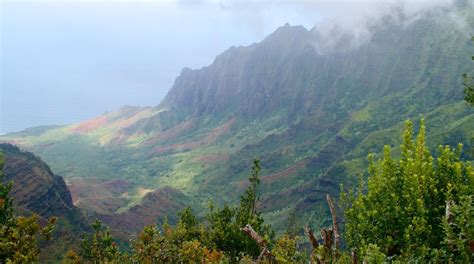 Koke'e State Park in Hawaii | Expedia.co.in