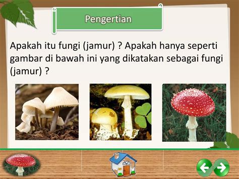 Ppt Dunia Fungi Powerpoint Presentation Free Download Id2339727