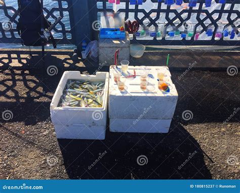 Fishing At Galata Bridge In Istanbul City Stock Image Image Of East