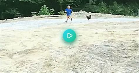 Chickens Run Hella Fast Album On Imgur