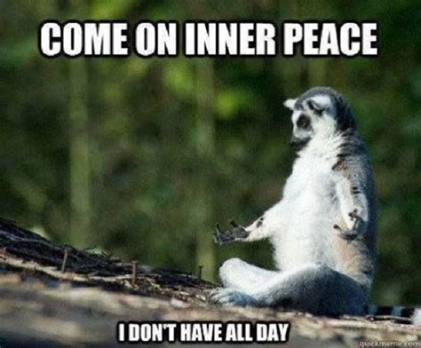 Meme Inner Peace Quotes Funny Shortquotes Cc