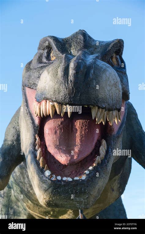 Saurian Dinosaur Tyrannosaurus Rex Styrofoam Figure Stock Photo Alamy