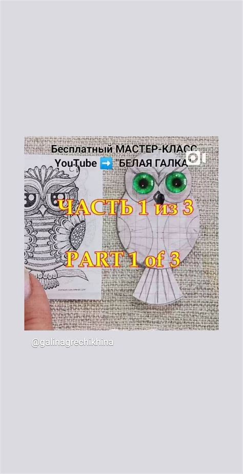 Pin by VIKA on птицы | Stories, Youtube, Parts