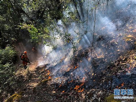 日行数十里 “火焰蓝”扑灭云南玉龙石头乡森林火灾云南省昆明云南新浪新闻