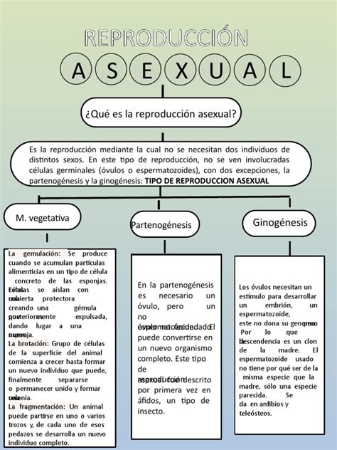 Mapa Conceptual Reproduccion Asexual 3 Pdf Reproducción Biologia