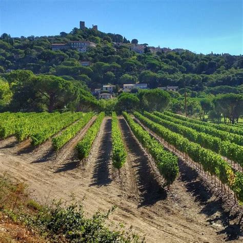 N1 Visite Guidée Grimaud 2h Guides de France