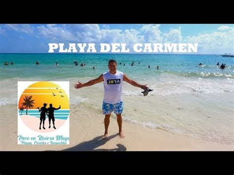 Playadelcarmen Dia De La Candelaria Menos Sargazo Llega A Las Playas