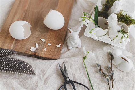 Cáscaras de huevo de pascua con campanillas de invierno en flor y una