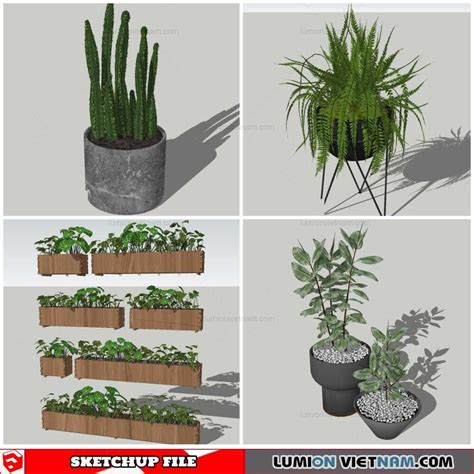 Plant Pots Sketchup Models