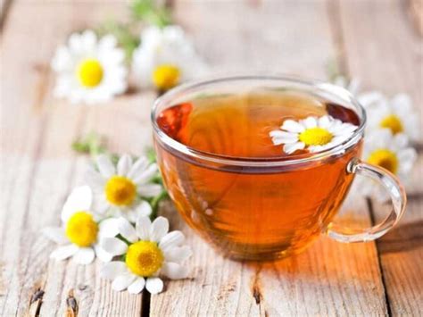 Manfaat Untuk Kesehatan Tubuh Chamomile Tea Bandungmu