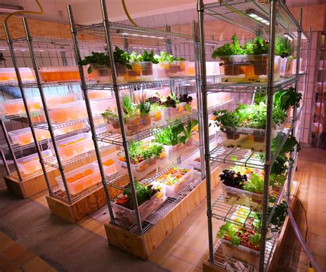 IKEA's Space10 is creating on-site aquaponic farms for restaurants ...