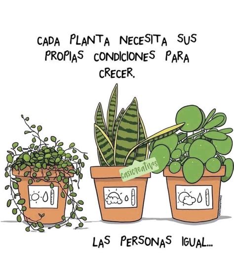 Introducir 107 Imagen Frases Del Cuidado De Las Plantas Abzlocal Mx