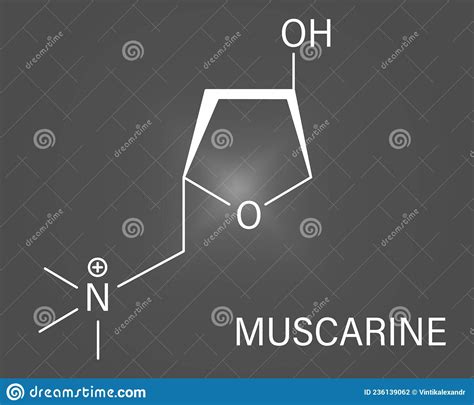 Muscarine Mushroom Toxin Molecule Agonist Of The Muscarinic