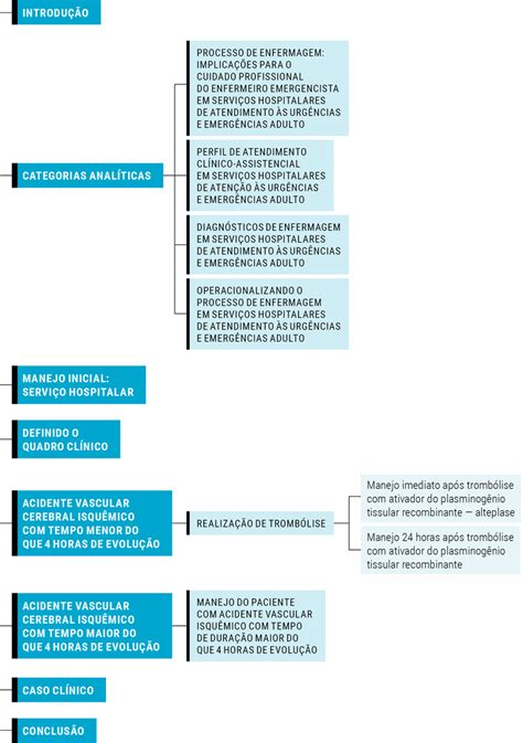 PROCESSO DE ENFERMAGEM QUALIFICAÇÃO DA PRÁTICA PROFISSIONAL NO