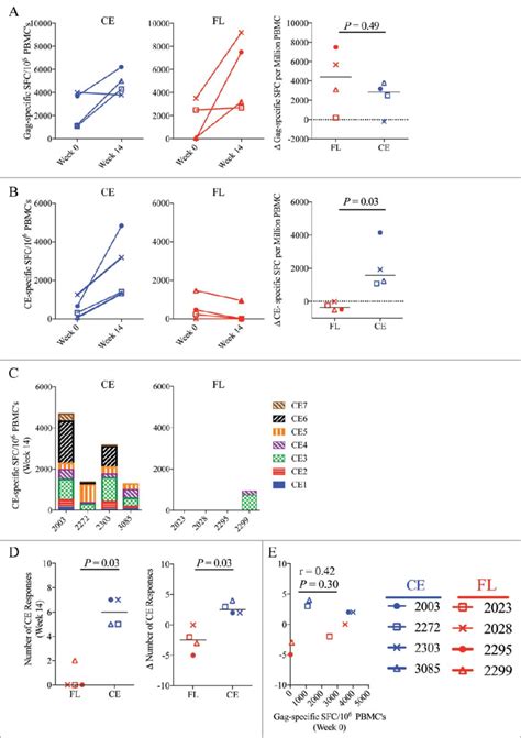 Ce Specific Ifn G T Cell Responses In The Blood T Cell Responses In