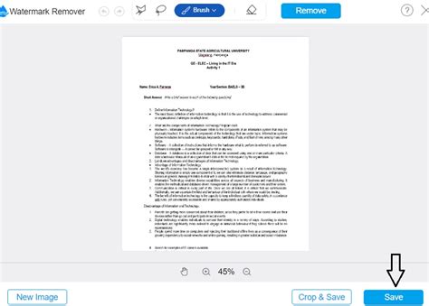 Remove Camscanner Watermark Online: 3 Easiest Ways