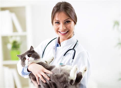 VET Resources - CBD Vets Australia