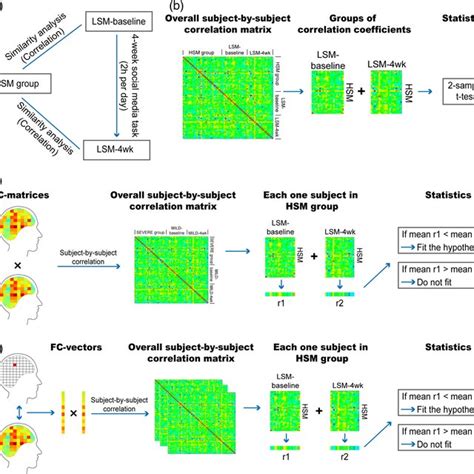 Flowcharts Of Data Analysis A General Design Of Intersubject