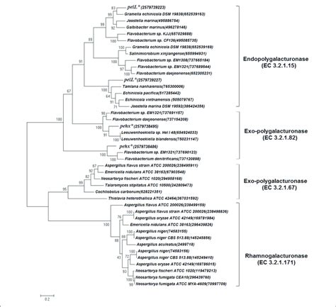 Phylogenetic Tree Based On Polygalacturonase Amino Acid Sequence