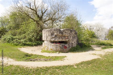 Ww1 Hill 60 Bunker In The Trench Belgium World War Stock Photo Adobe