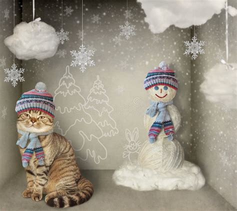 Cat And Snowman Stock Photo Image Of Snow Fantasy 126657482