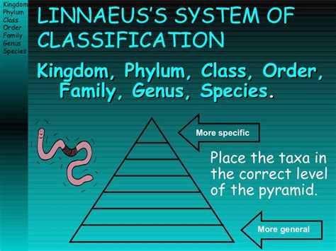 Taxonomy Ppt