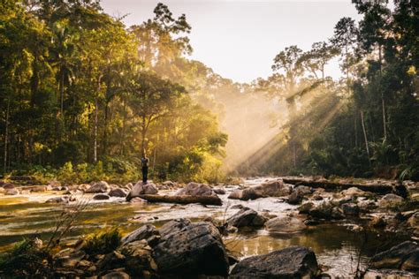 Spectacular National Parks In Malaysia No Nature Lover Should Miss