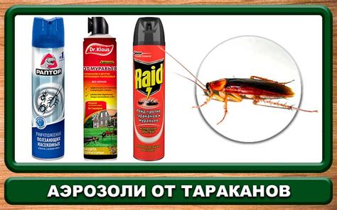Самое эффективное средство от тараканов в квартире: бытовые, народные ...