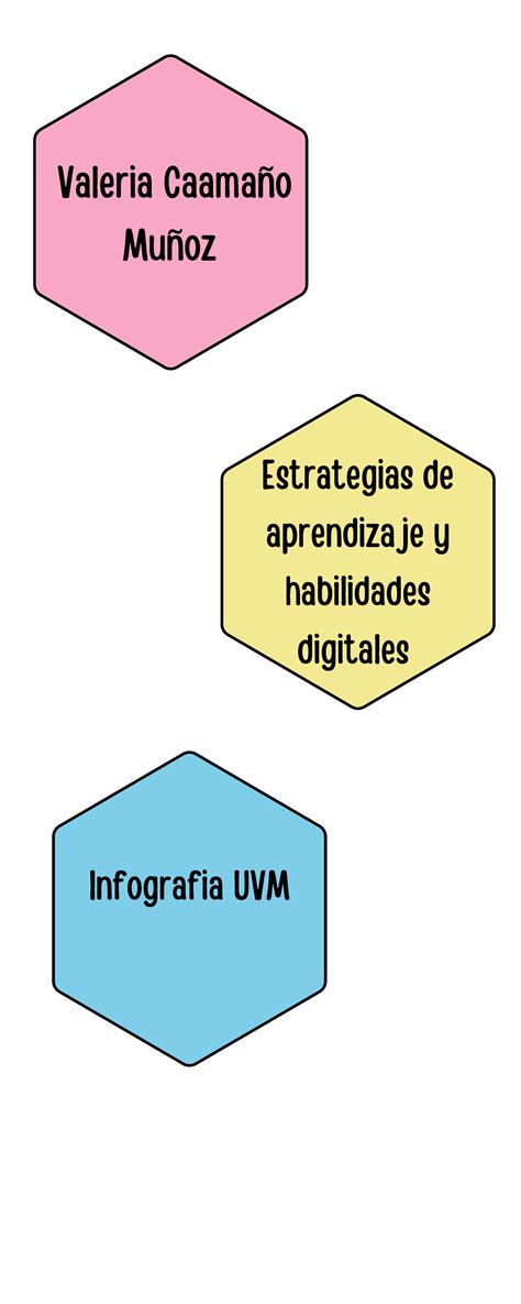 Infografia Uvm Valeria Caamaño Muñoz Estrategias de aprendizaje y