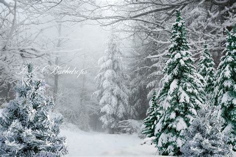 Winter Wonderland Backdrop Portrait Christmas Photography Etsy