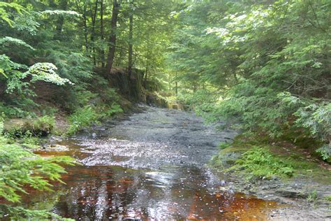 Cascade Falls In Saco Maine ⋆ The Stuff Of Success