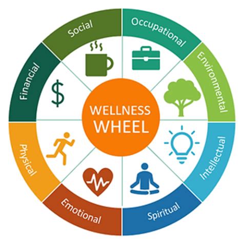 The Wellness Wheel Mental Model