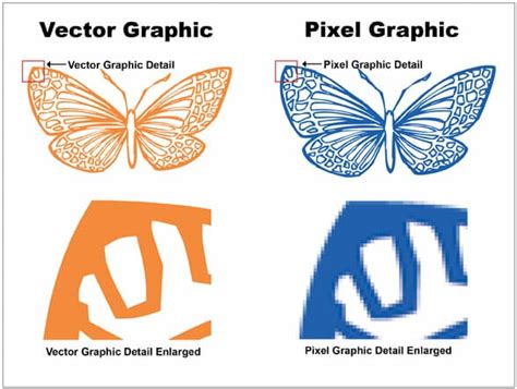 Do You Know Why Your Logo Should Be A Vector Graphic