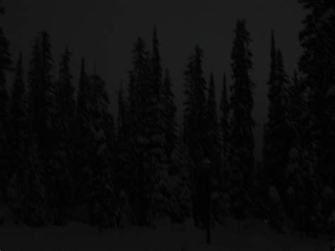 Dark Snowy Forest by TisMatty on DeviantArt