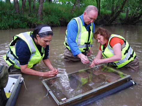 What Is Farm Runoff Doing To The Water Scientists Wade In Wbur News