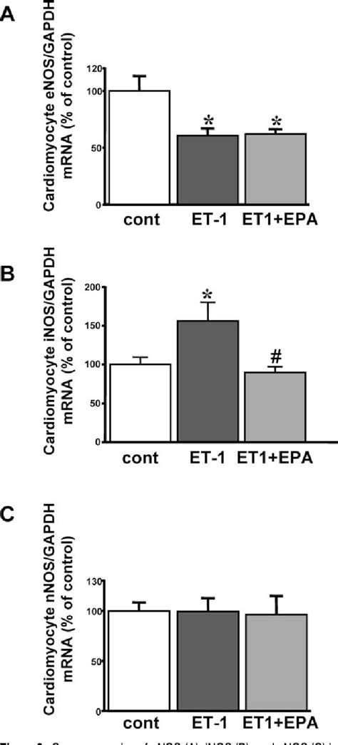 Figure 1 From Epa Effect On Nos Gene Expression And On No Level In Endothelin 1induced