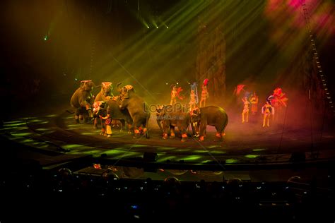 Circus Picture And Hd Photos Free Download On Lovepik